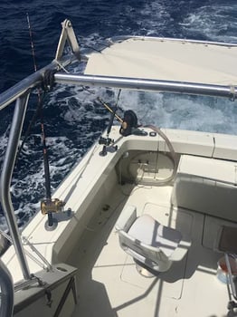 Boat photo for Fish, Swim & BBQ