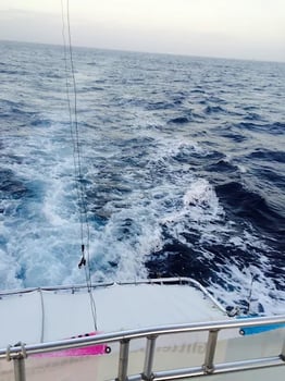 Boat photo for Fish, Swim & BBQ
