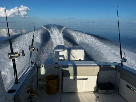 Boat photo for Deep Sea Fishing 