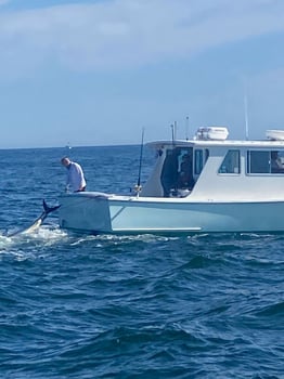 Boat photo for Bass & Bluefish Fishing Trip