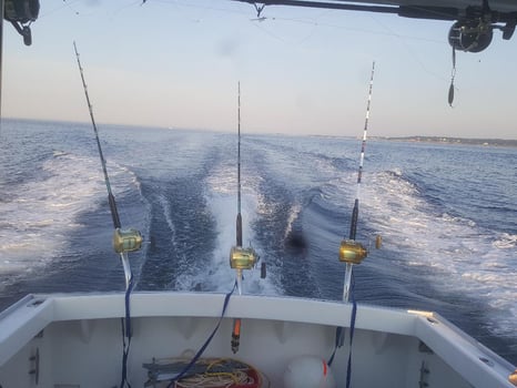Boat photo for Bass & Bluefish Fishing Trip