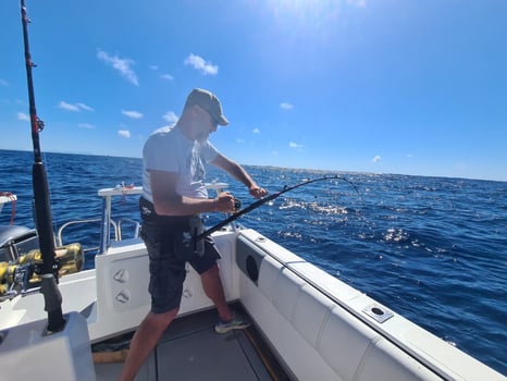 Boat photo for Cape Town Tuna
