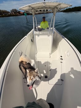 Boat photo for Nearshore Reef Baitfishing