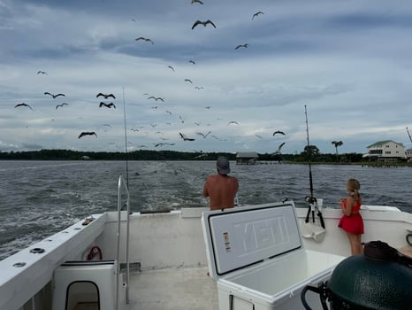 Boat photo for 18 Hour Overnight Fishing Trip