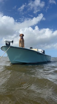 Boat photo for Outer Banks Half Day Inshore 