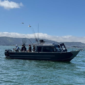 Boat photo for Lets Go Halibut Fishing 