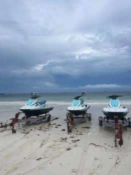 Boat photo for Jet Ski Tours - Dolphin Sighting