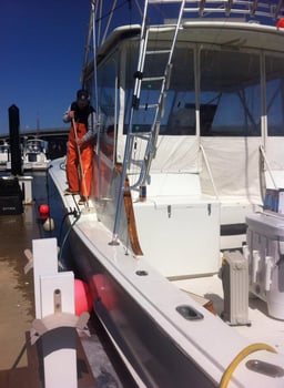 Boat photo for Fluke, Bluefish, & Stripers Fishing