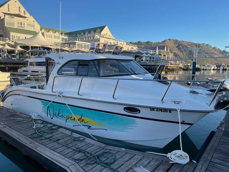 Boat photo for False Bay Inshore Trips 