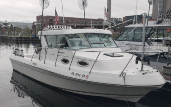 Boat photo for Lake Erie Fishing Charters