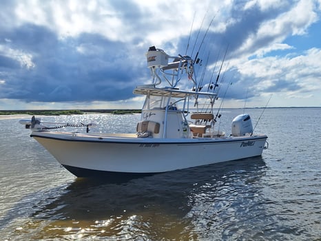 Boat photo for Dolphin/birds/eco/boat Criuse Tour
