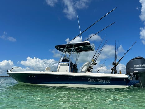 Boat photo for Offshore Fishing Trip (Deep Sea)