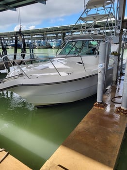 Boat photo for Big Redfish On The Jetty