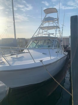 Boat photo for Big Redfish On The Jetty