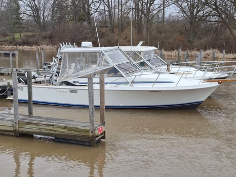 Boat photo for Lake Ontario Trout & Salmon