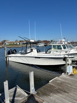 Boat photo for Long Island Inshore