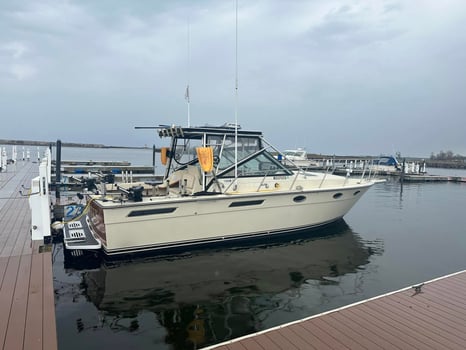 Boat photo for 6-8 Hour Trip – Lake Ontario