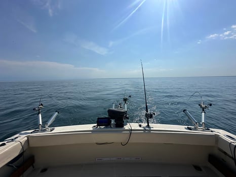 Boat photo for 6-8 Hour Trip – Lake Ontario