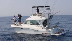 Boat photo for Rogoznica Fishing Trip 