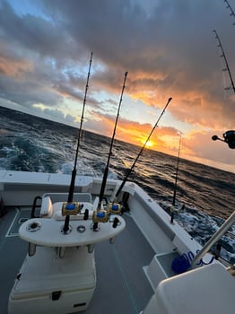 Boat photo for Sunset Fishing Trip 3 Hours 