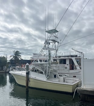 Boat photo for 4-8 Hour Offshore Trip