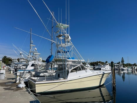 Boat photo for 4-8 Hour Offshore Trip