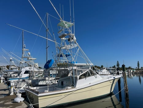 Boat photo for 4-8 Hour Offshore Trip