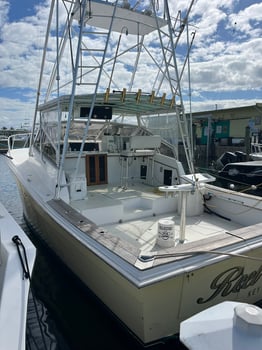 Boat photo for 4-8 Hour Offshore Trip