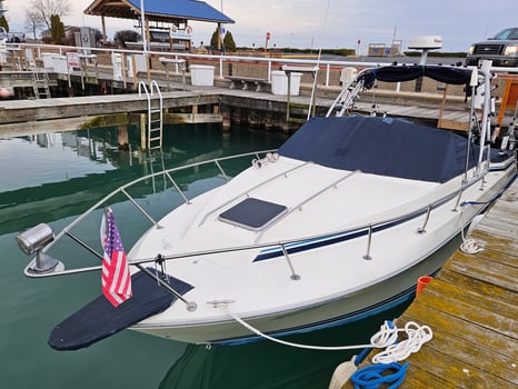 Boat photo for Lake Michigan Sunset Harbor Cruise