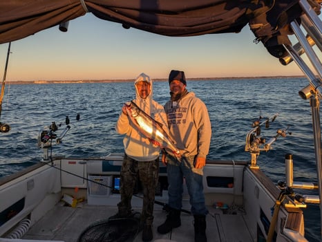 Boat photo for 12-Hour Full Moon Night Fishing
