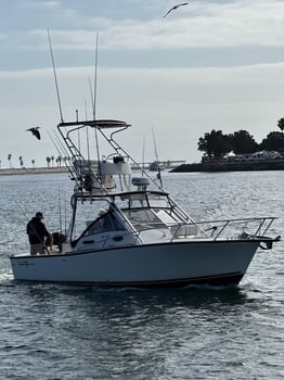 Boat photo for Deep Sea Fishing
