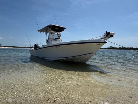 Boat photo for 🎣 Family Fun Half Day Adventure