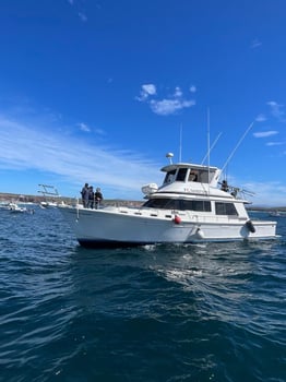 Boat photo for Local And Long-range Fishing Trips