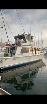 Boat photo for Local And Long-range Fishing Trips