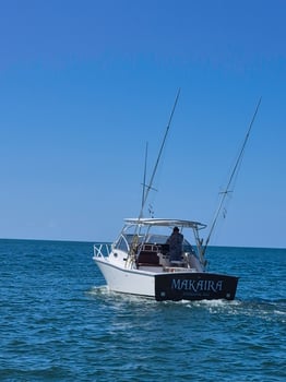 Boat photo for Bio Bay Tour