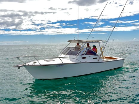 Boat photo for Bio Bay Tour