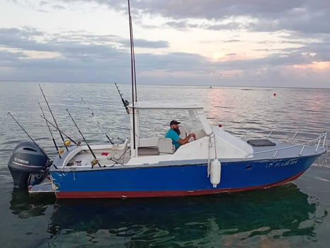 Boat photo for Offshore Fishing Trip - 27'