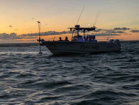 Boat photo for Sandbar Excursions / Sunset Cruises