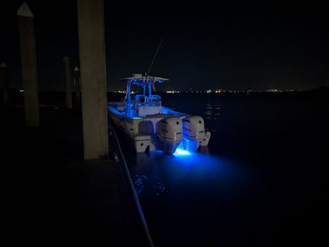 Boat photo for Sandbar Excursions / Sunset Cruises