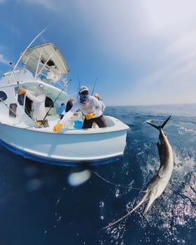 Boat photo for Guatemala Sportfishing Getaway