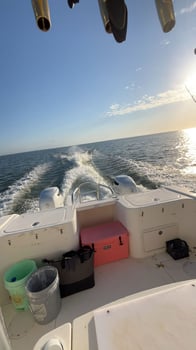 4-8 Hour Offshore In Apalachicola