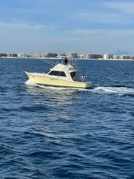 Boat photo for Boyton Beach Gulfstream Trips