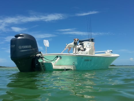Boat photo for Tampa Bay Fishing Fun