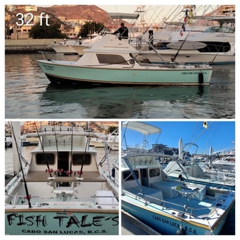 Boat photo for Offshore Fishing Trip - 31 Ft