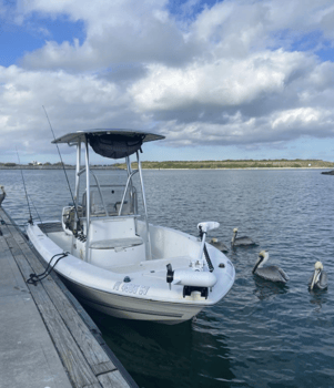 Boat photo for Cape Canaveral Inshore/Nearshore