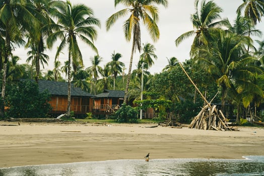 Lodge photo for Darien Lodge Expedition