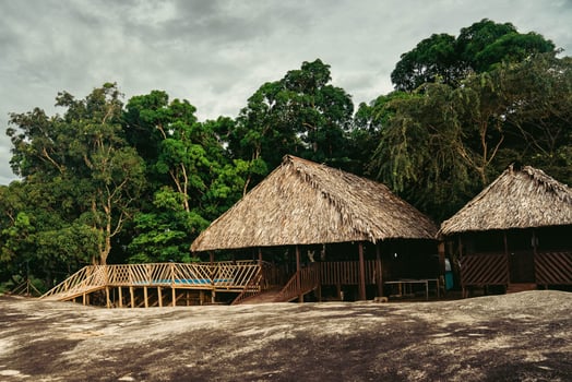 Lodge photo for Orinoco Lodge Expedition