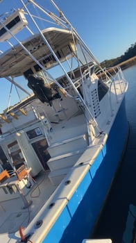 Boat photo for 4 Hour Nearshore