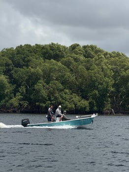 Boat photo for Tarpons In Recife, Brazil