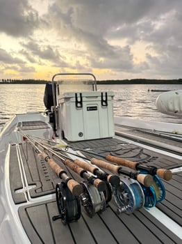 Boat photo for Tarpons In Recife, Brazil